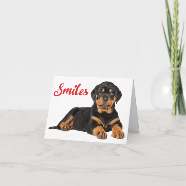 Smiles Rottweiler Puppy Dog Thinking of You, Hello Card (Front)