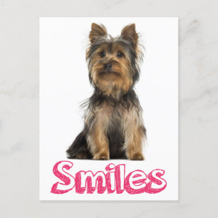 Smiles Yorkshire Terrier Puppy Dog Blank Post Card
