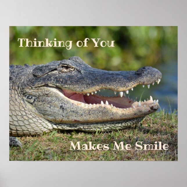 Smiling Alligator Grinning Gator Poster (Front)