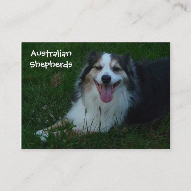 Smiling Australian Shepherd  Business Card (Front)