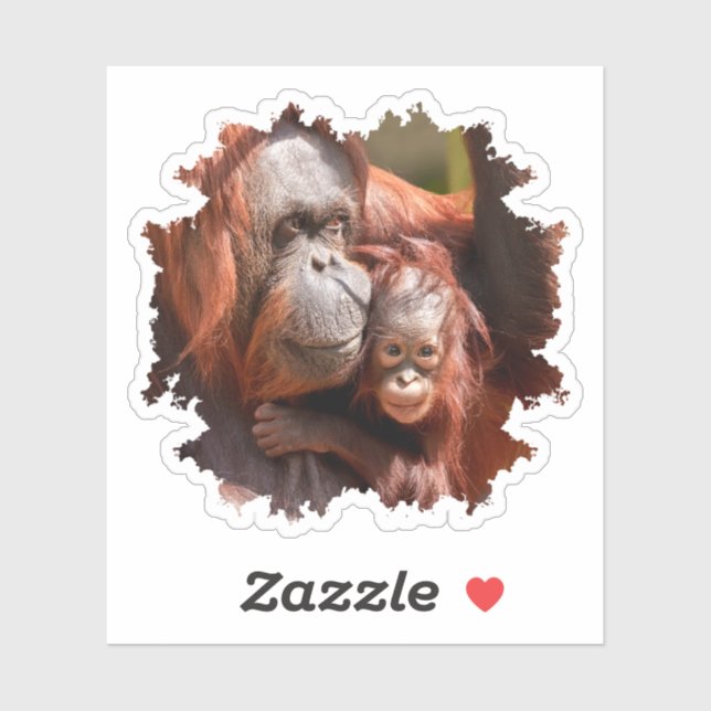 Smiling Baby Orangutan in Mother's Arms (Sheet)