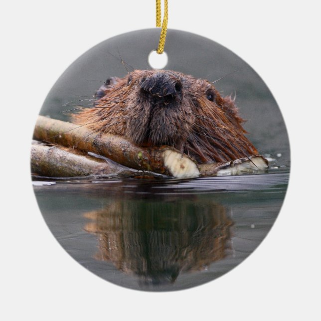 smiling beaver ceramic ornament (Front)