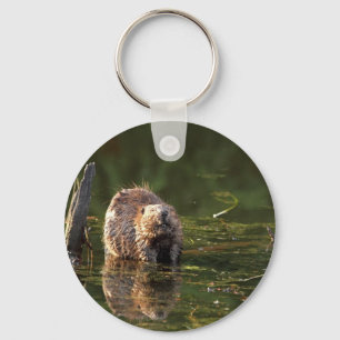 Smiling Beaver Keychain