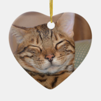 Smiling Bengal Ceramic Ornament