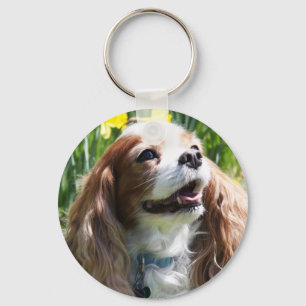 Smiling Blenheim Cavalier King Charles Spaniel Keychain