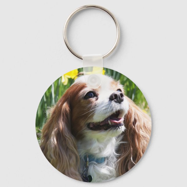 Smiling Blenheim Cavalier King Charles Spaniel Keychain (Front)
