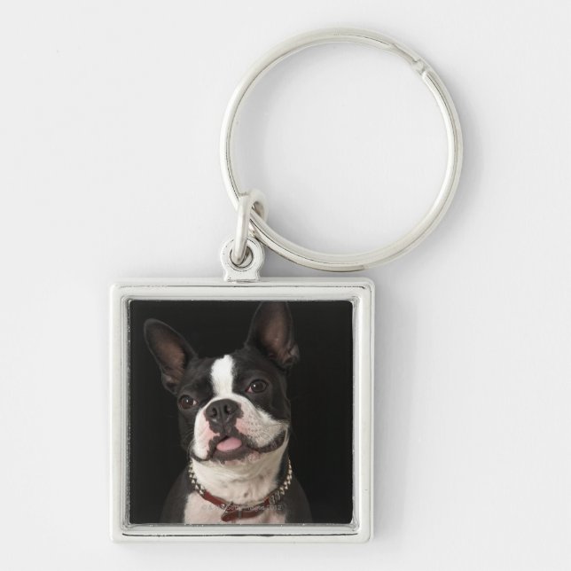 Smiling Boston terrier with collar Keychain (Front)