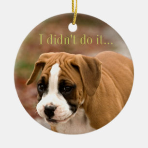 Smiling Boxer Dog Car or Tree Ornament