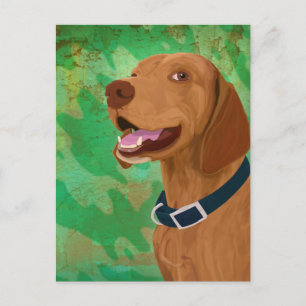 Smiling Brown Vizsla on Green Background Postcard