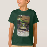 Smiling Bullfrog Nature