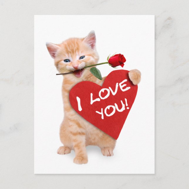 Smiling cat in love postcard (Front)