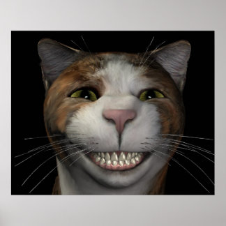 Smiling Cat Poster