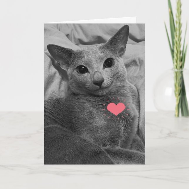 Smiling Cat Valentine Card (Front)