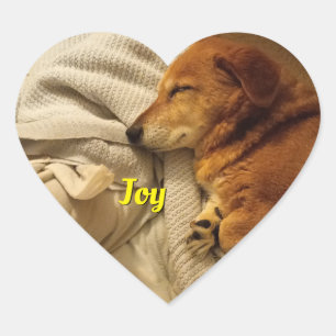 Smiling Dog Heart Sticker