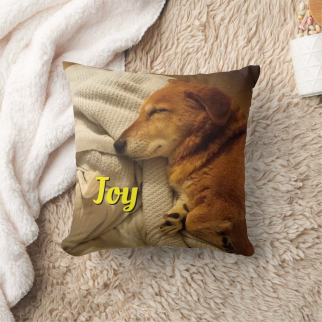 Smiling Dog Throw Pillow (Blanket)