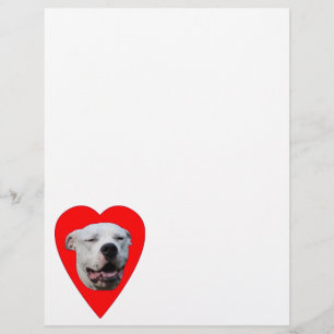 Smiling Dogo Argentino