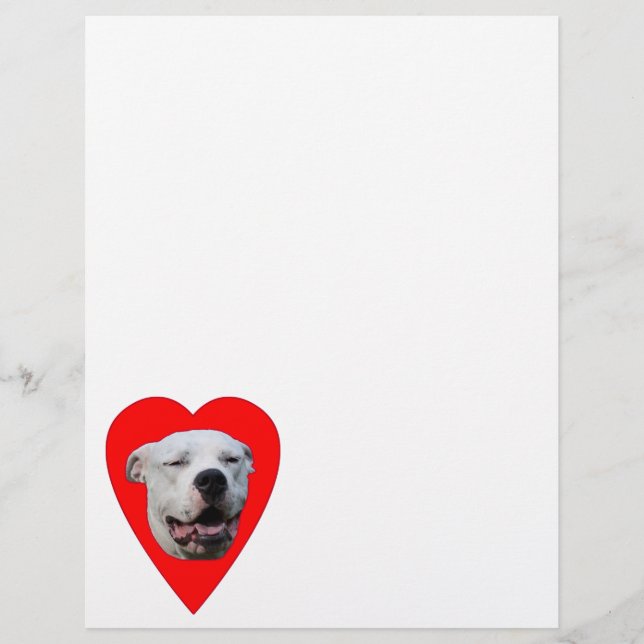 Smiling Dogo Argentino (Front)