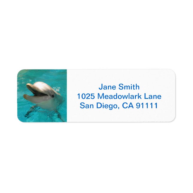 Smiling Dolphin (Front)