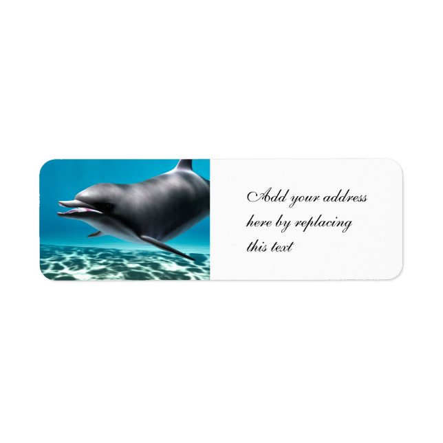 Smiling Dolphin (Front)