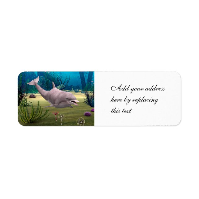 Smiling Dolphin (Front)