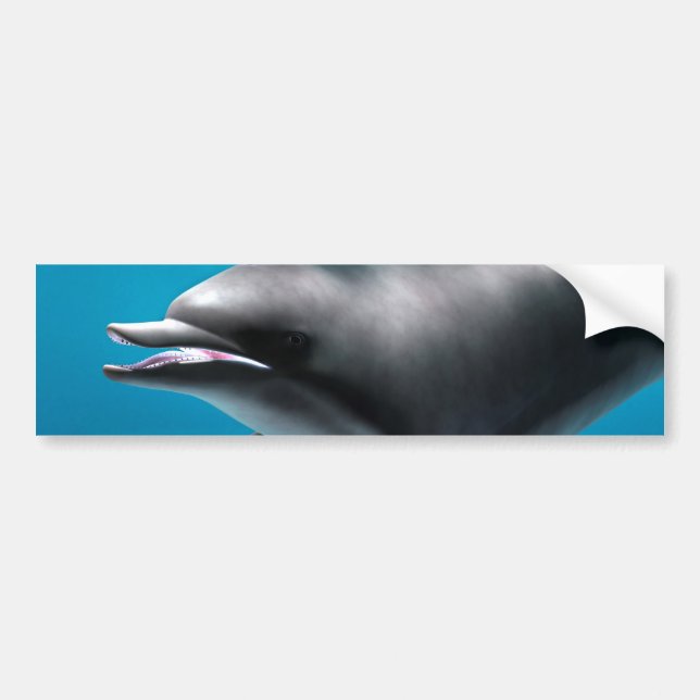 Smiling Dolphin Bumper Sticker (Front)