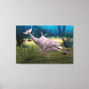 Smiling Dolphin Canvas Print