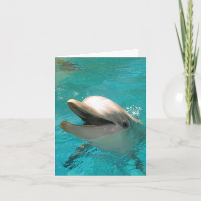 Smiling Dolphin Card (Front)
