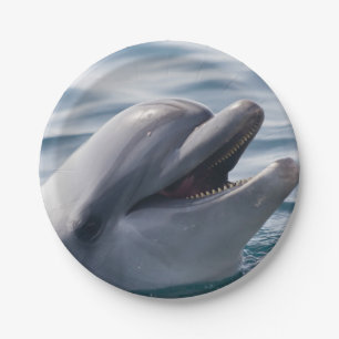 Smiling Dolphin Close‑Up in Bright Blue Water Paper Plate
