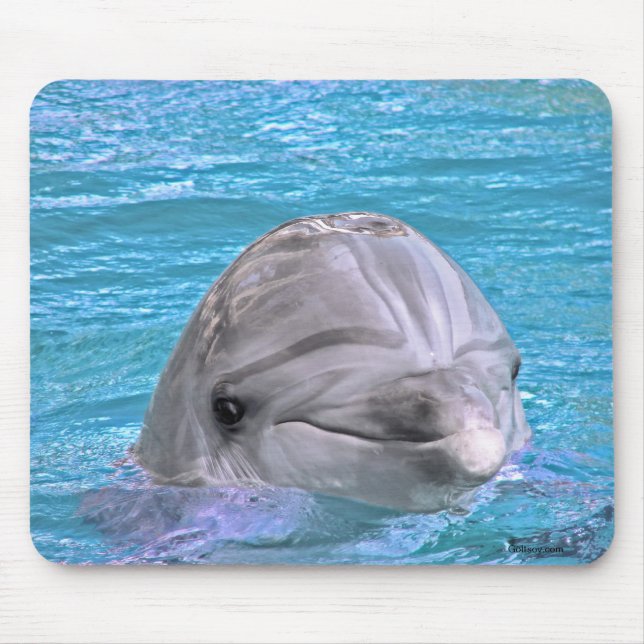 Smiling Dolphin Mouse Pad (Front)