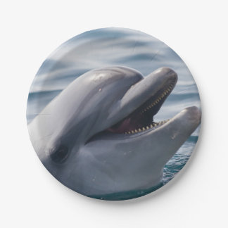 Smiling Dolphin Paper Plate