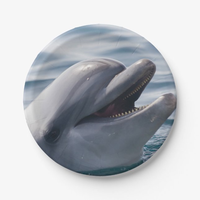 Smiling Dolphin Paper Plate (Front)