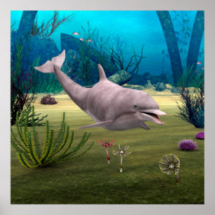 Smiling Dolphin Poster
