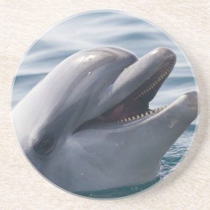 Smiling Dolphin Rising Above Bright Blue Water Coaster