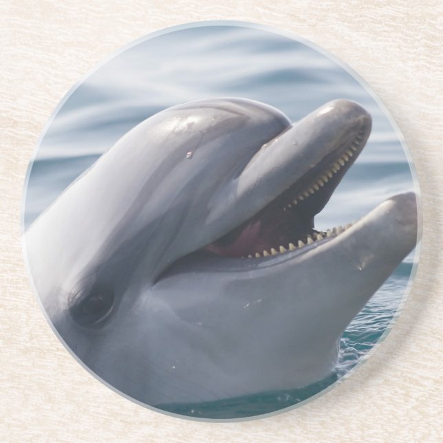 Smiling Dolphin Rising Above Bright Blue Water Coaster (Front)