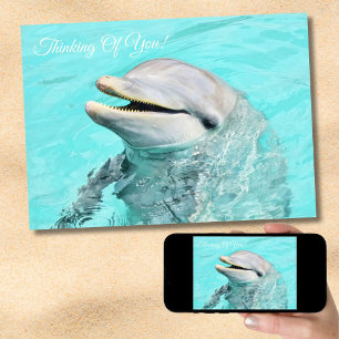 Smiling Dolphin Thinking Of You Card