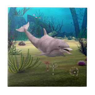 Smiling Dolphin Tile