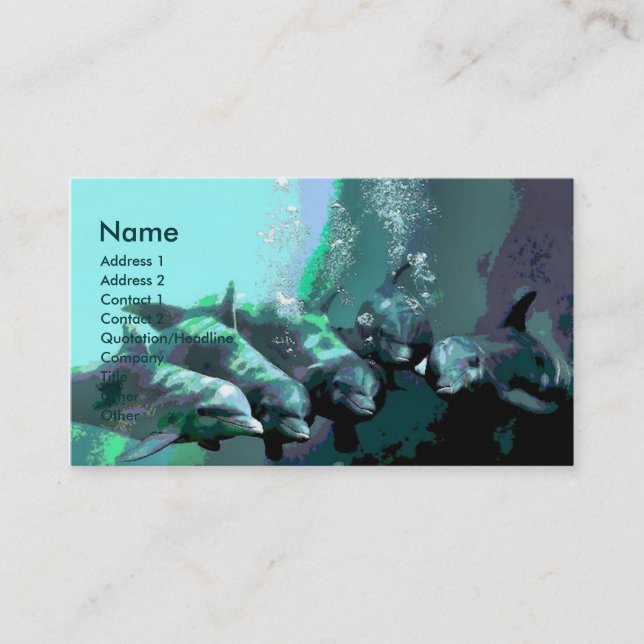 Smiling Dolphins Business Card (Front)