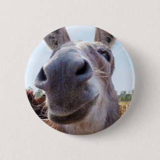 Smiling Donkey 2 Inch Round Button