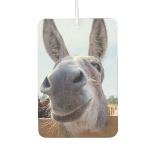 Smiling Donkey Air Freshener