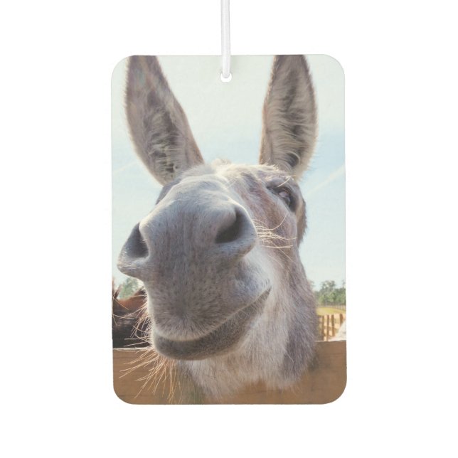 Smiling Donkey Air Freshener (Front)