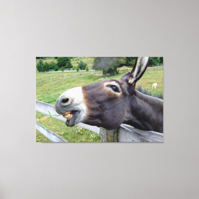 Smiling Donkey in pasture with dog  Canvas Print (Front)