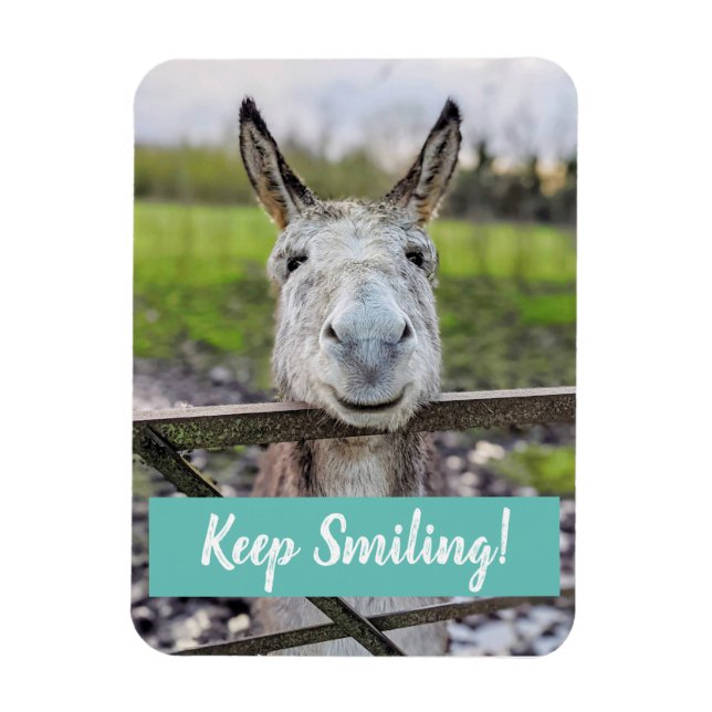 Smiling Donkey "Keep Smiling" Magnet (Vertical)