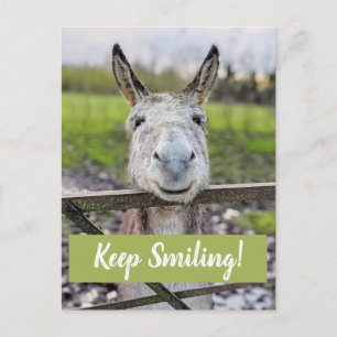 Smiling Donkey "Keep Smiling" Postcard