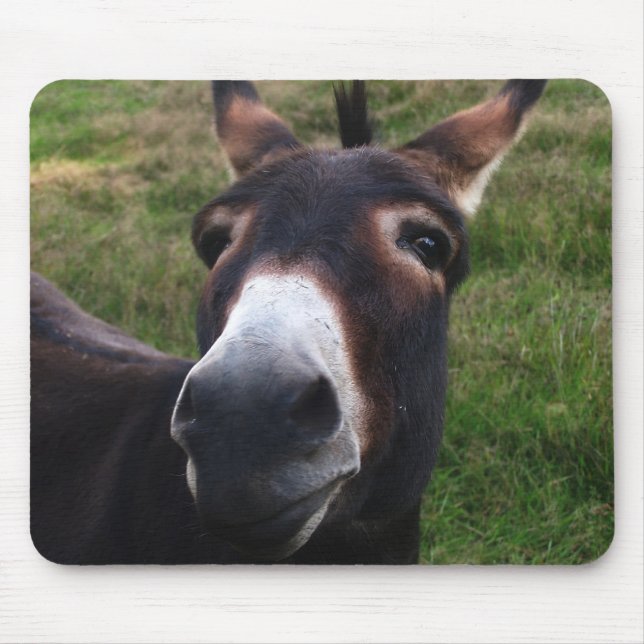 Smiling Donkey Mousepad (Front)