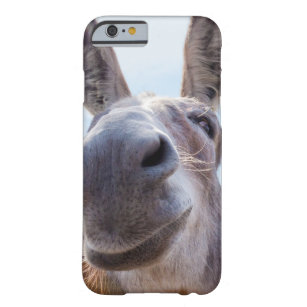 Smiling Donkey with a Silly Grin and Laughing Eyes Barely There iPhone 6 Case