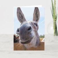 Smiling Donkey with Silly Grin