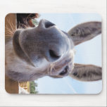 Smiling Donkey with Silly Grin Mouse Pad<br><div class="desc">This friendly donkey is looking for a handout or maybe a scratch behind the ear. His curiosity led him to find my camera looking up at him. His smile says it all. Nothing to be afraid of. Whether you like donkeys, democrats, or making fun of donkeys or democrats, this might...</div>