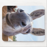 Smiling Donkey with Silly Grin Mouse Pad<br><div class="desc">This friendly donkey is looking for a handout or maybe a scratch behind the ear. His curiosity led him to find my camera looking up at him. His smile says it all. Nothing to be afraid of. Whether you like donkeys, democrats, or making fun of donkeys or democrats, this might...</div>
