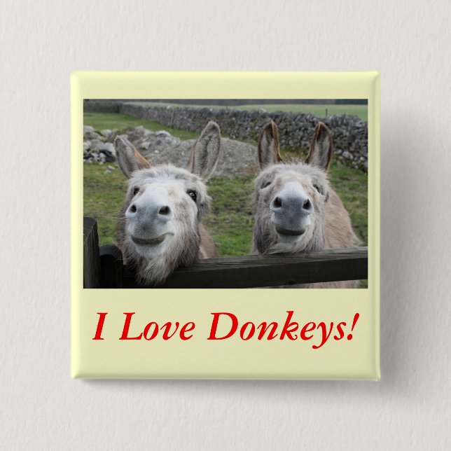 Smiling Donkeys! 2 Inch Square Button (Front)