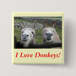 Smiling Donkeys! 2 Inch Square Button